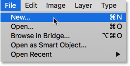 Selecting the New command from under the File menu.