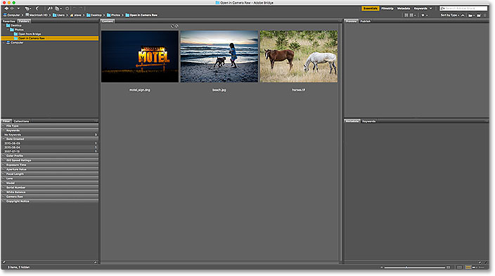 The Content panel in Adobe Bridge displaying thumbnails of the images.