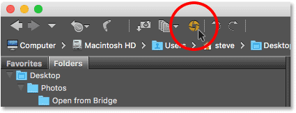 Clicking the Open in Camera Raw icon in Adobe Bridge.