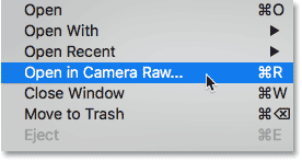 how to open camera raw