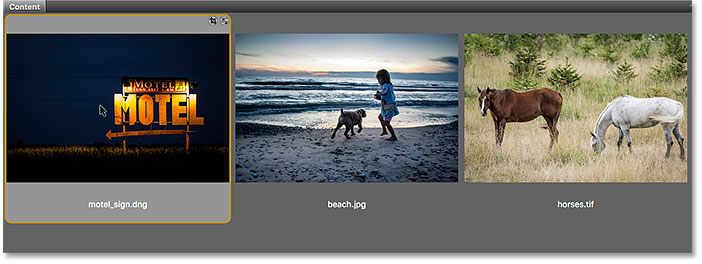 Opening the raw file from Adobe Bridge.