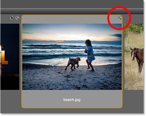 Bridge displays a Camera Raw settings icon in the JPEG file thumbnail.