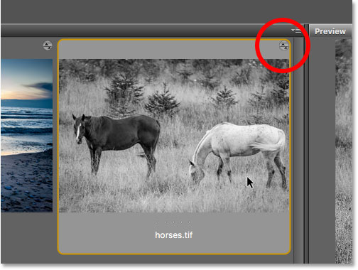 The Camera Raw settings icon appears in the upper right of the TIFF file thumbnail.