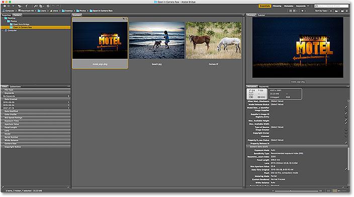 Back to Adobe Bridge after closing Camera Raw.