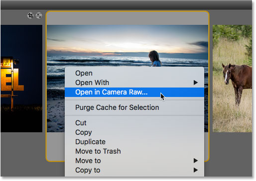 Choosing the Open in Camera Raw command from the thumbnail menu in Bridge.