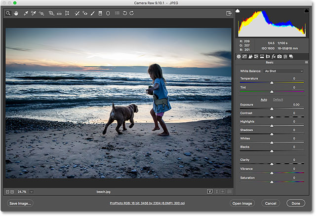 The JPEG image opens in Camera Raw from Adobe Bridge.