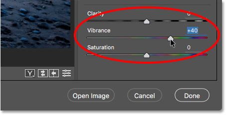 Using the Vibrance slider to boost color saturation in Camera Raw.