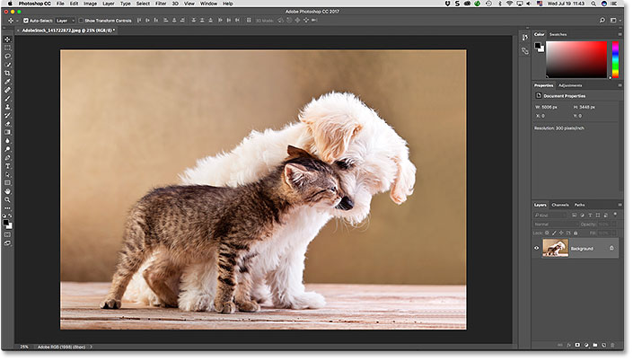 Getting To Know The Photoshop Interface