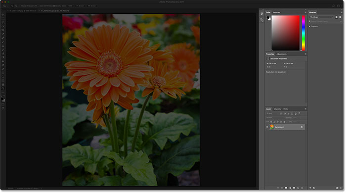 The Recent Files panel closes when the selected image opens. Image © 2016 Steve Patterson, Photoshop Essentials.com