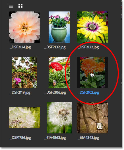 Selecting an image to re-open in the Recent Files panel. Image © 2016 Steve Patterson, Photoshop Essentials.com