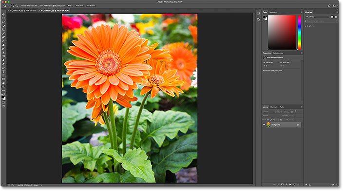 The second image opens in Photoshop. Image © 2016 Steve Patterson, Photoshop Essentials.com