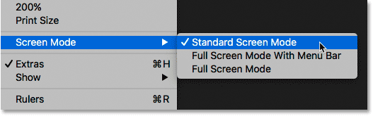 Viewing the Screen Modes from the View menu in Photoshop.