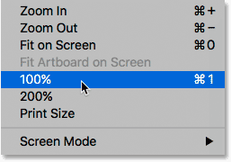 Selecting the 100 Percent View Mode in Photoshop.