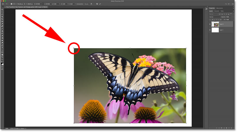 How to scale an image proportionally with Free Transform in Photoshop CC 2020