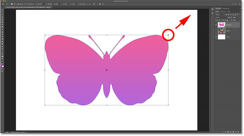 Shape layers now scale proportionally by default as of Photoshop CC 2020