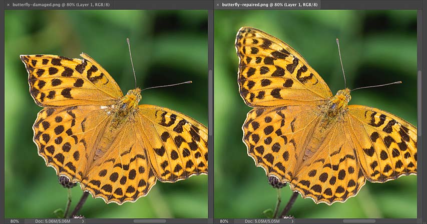 How to use Content-Aware Fill in Photoshop CC 2020