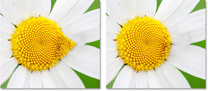 A comparison of the Rotation Adaptation results in the Content-Aware Fill workspace in Photoshop