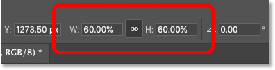 The current Width and Height of the scaled image.