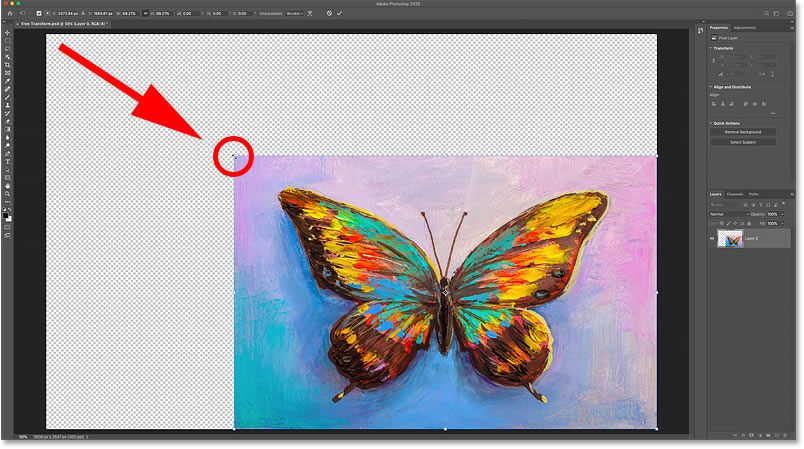 Scaling the image smaller using Free Transform fills the empty canvas space with transparency.