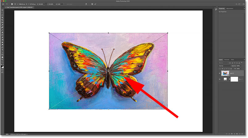 How to move images using Photoshop's Free Transform command