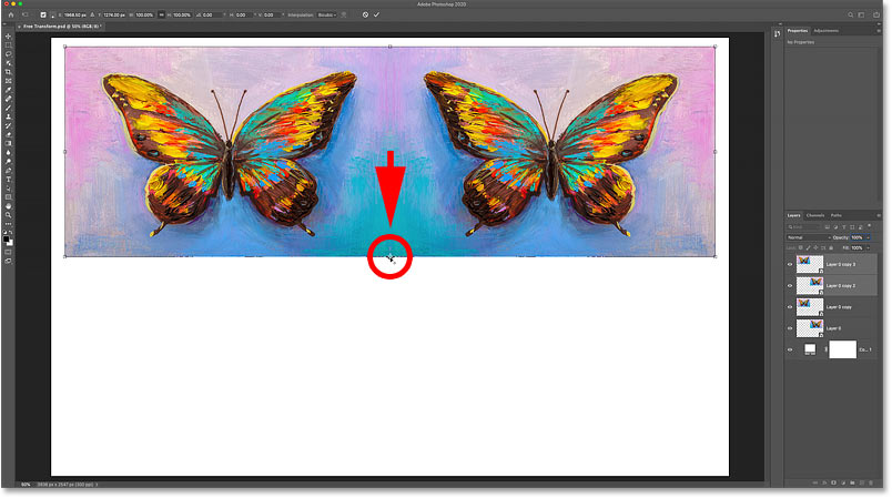 Moving the Free Transform Reference Point onto the bottom handle in Photoshop