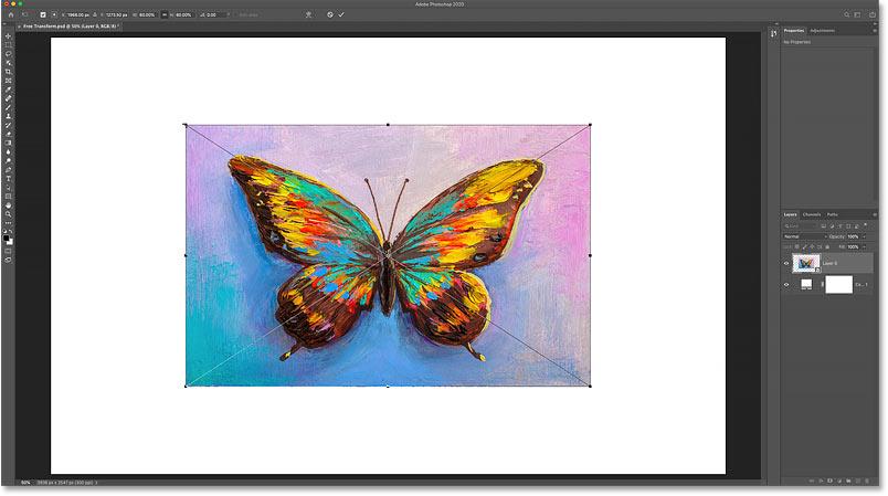 Scaling the image to the new size with Free Transform in Photoshop