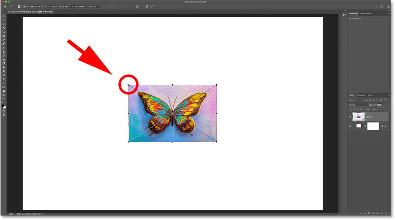 how to scale images in photoshop