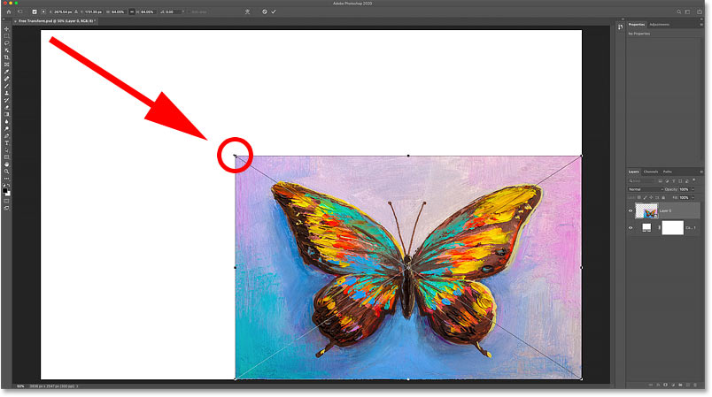 Scaling the image smaller with Free Transform now reveals the fill layer behind it.