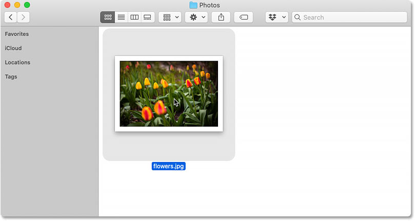 mac picture editor default