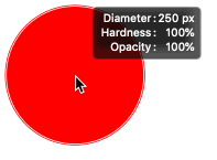 The HUD (Heads Up Display) for the Brush Tool in Photoshop