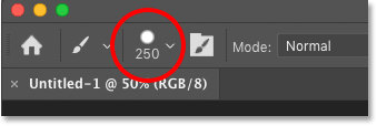 The Options Bar showing the current brush size in Photoshop