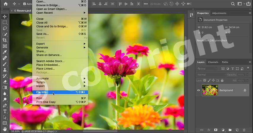 How to add copyright and contact info to images with Photoshop