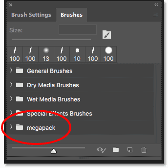 The Brushes panel showing the installed Megapack brush set from Kyle T Webster