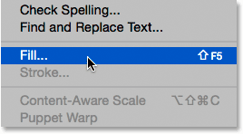 Selecting the Fill command from under the Edit menu. 