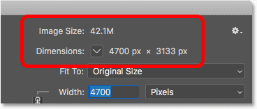 Image Size Dimensions 