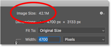 how large is photoshop download