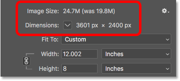 Upsampling the image increased the pixel dimensions and the file size