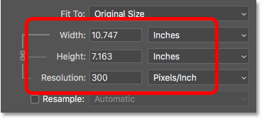 The current print size of the photo in the Image Size dialog box in Photoshop