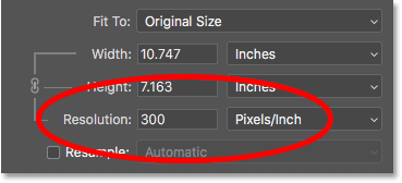 The current image resolution in Photoshop's Image Size dialog box