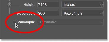 Turning Resample off in Photoshop's Image Size dialog box