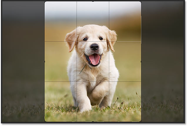 Cropping the image to the new aspect ratio in Photoshop