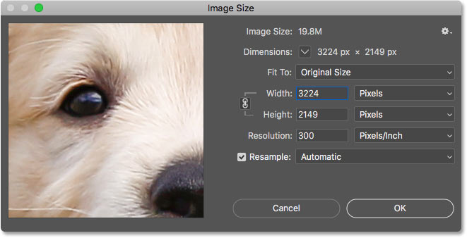 The Image Size dialog box in Photoshop CC