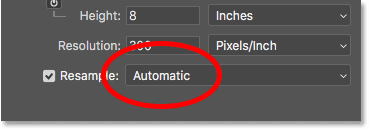 The Interpolation method in the Image Size dialog box in Photoshop