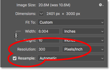 Resampling the image to 300 pixels/inch in Photoshop