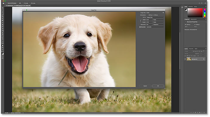 How to resize the Image Size dialog box for a larger image preview in Photoshop