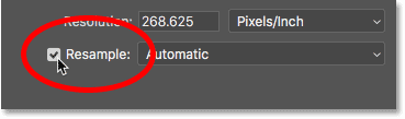 Turning Resample on in Photoshop's Image Size dialog box