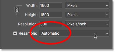 Setting the interpolation method to Automatic for downsampling pixel art in Photoshop