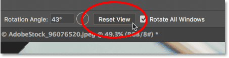 reset view photoshop