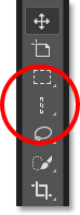 The Single Column Marquee Tool's icon is now displayed in the Toolbar. 