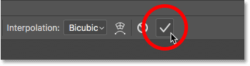 Clicking the checkmark to apply the Free Transform command in Photoshop